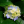 Avatar of msngocland
