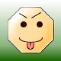 Avatar of The small Animal
