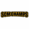 Avatar of sapconsultingcompany