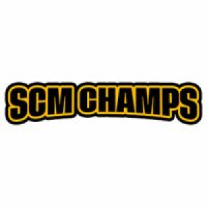 Avatar of sapconsultingcompany