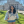 Avatar of abc dfg