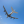 Avatar of Pocket Fare