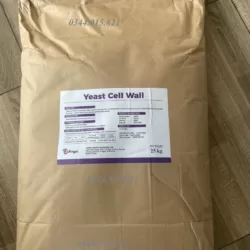 Betaglucan Yeast Cell Wall, Vách tế bào nấm men, Saccharomyces cerevisiae