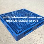 Pallet nhựa tại Hậu Giang giảm giá siêu khủng