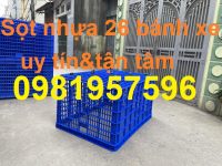 sot nhua 26 banh xe 14