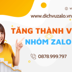 Buff Mem Zalo Và Cung Cấp Nhóm Zalo Đa Lĩnh Vực