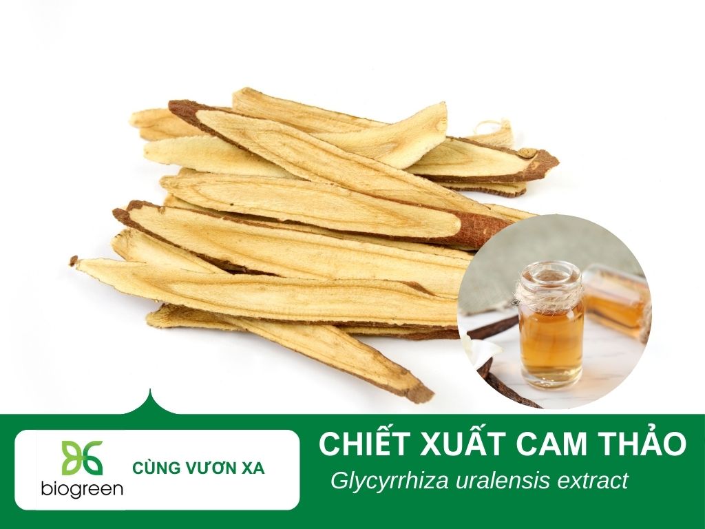 Chiết xuất cam thảo