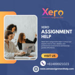 Xero assignment help (9) (1)