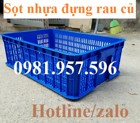 sọt nhựa đựng rau củ 4