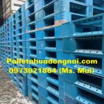 pallet nhua long an (11)