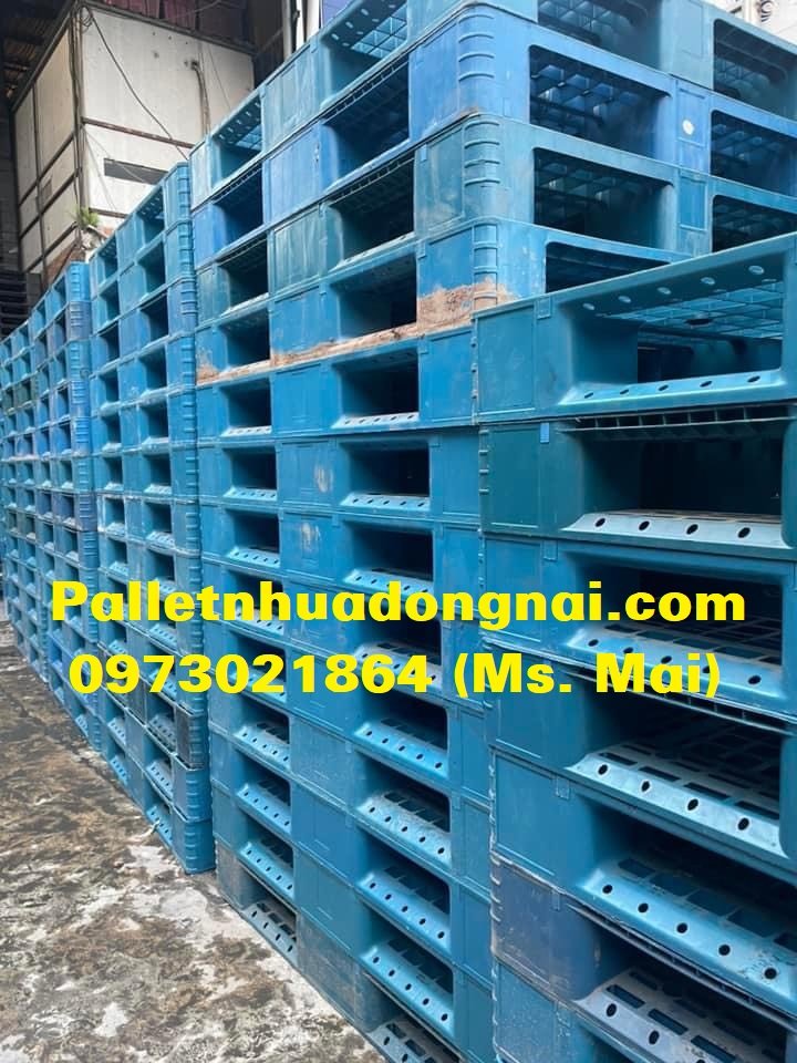 pallet nhua long an (11)