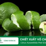 Tác dụng làm đẹp của chiết xuất vỏ chanh