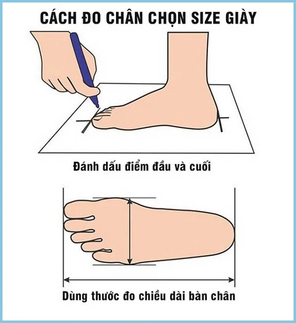 cach do size ban chan