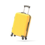 Druk Air Baggage Policy