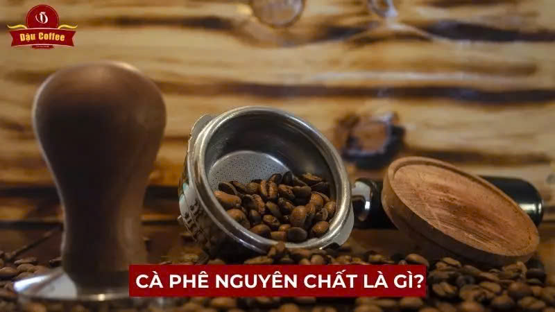 cf nguyen chat