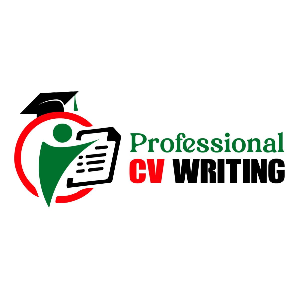 Professional CV Writing 01