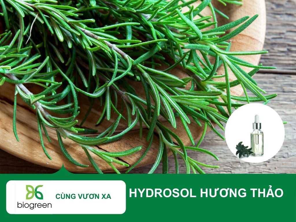 Hydrosol hương thảo