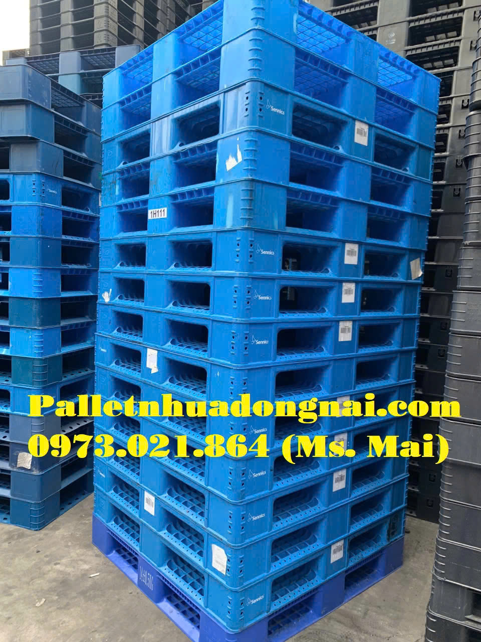 pallet nhua binh duong (11)