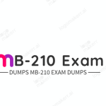 MB 210 Exam Dumps