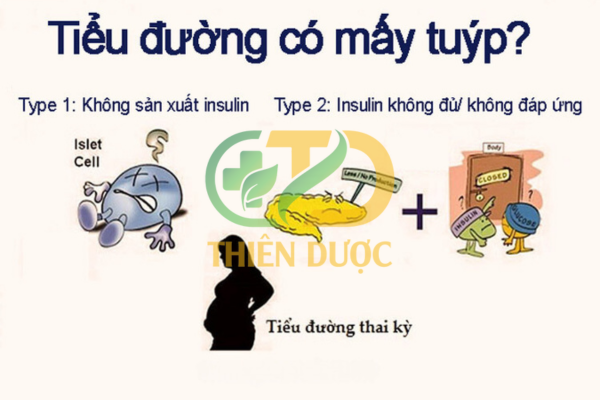 cac loai benh tieu duong