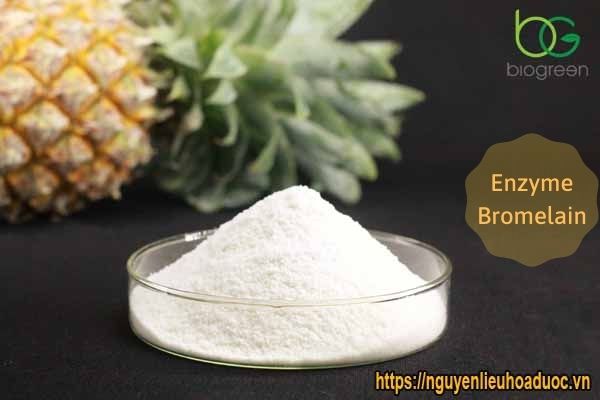 nguyen lieu enzyme bromelain dang bot