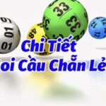 Soi cầu