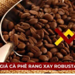 Giá cà phê rang xay Robusta