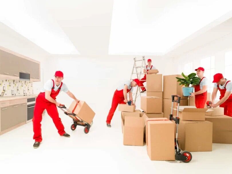 professional-movers-in-san-diego