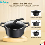 1729915427520-noi-duc-cao-cap-tefal-robusto-co-mieng-rot-20cm-e2494444