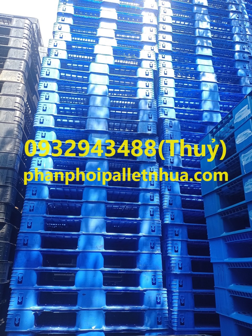 cung cấp pallet nhựa tại Bình thuận, liên hệ 0932943488 (5)