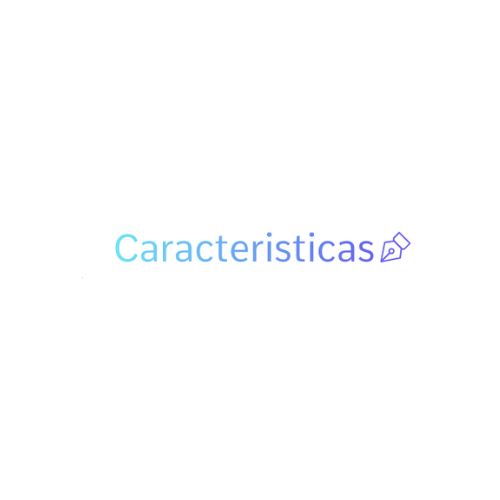 CARACTERISTICAS LOGO (25)