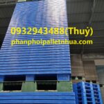 phân phối pallet nhựa tại Hậu Giang, liên hệ 0932943488 (5)