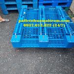 Pallet nhựa tại Sài Gòn giá rẻ, chất lượng