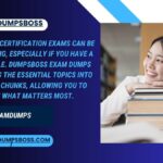 CLF-C02 Exam Dumps