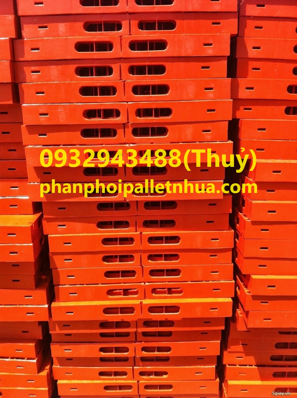 pallet nhựa tại Vĩnh Long giá rẻ, liên hệ 0932943488 (5)