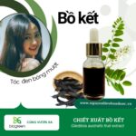 Chiết xuất bồ kết - Bí quyết tóc đen óng mượt