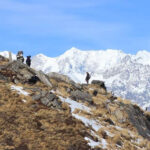 Explore the Dodital trek in the Indian Himalayas.