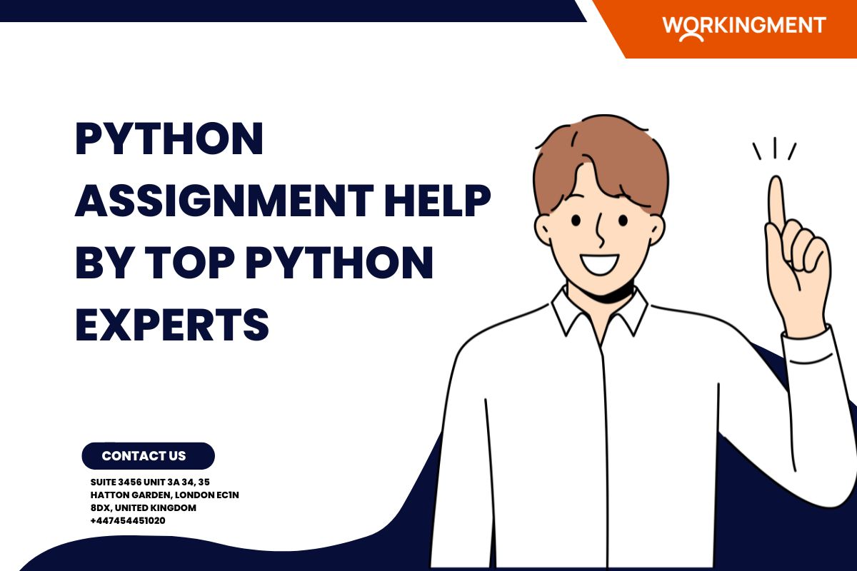 Python Assignment Help by Top Python Experts