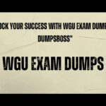 WGU Exam Dumps