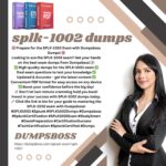 What Is the Time Efficiency of SPLK-1002 Dumps in Exam Prep?