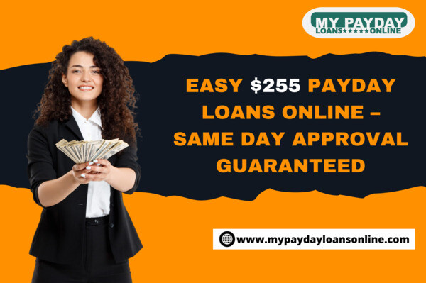 mypaydayloansonline (16)