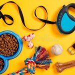 Affordable and stylish pet accessories