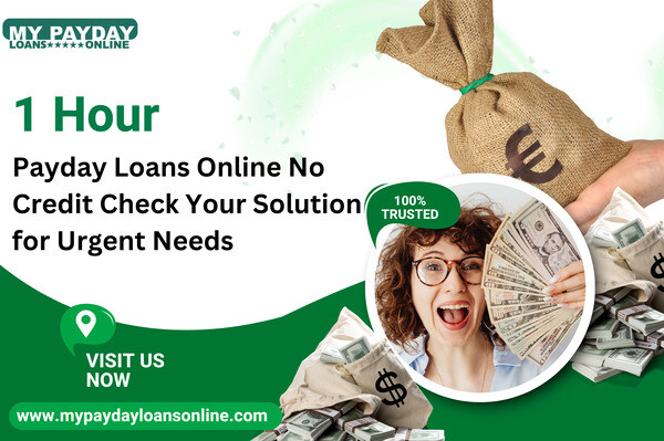 mypaydayloansonline (8)