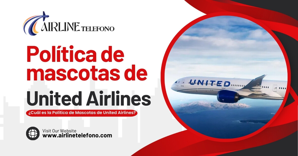 Cuál es la Política de Mascotas de United Airlines