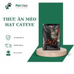 Mèo ăn hạt nhiều có tốt không - Khám phá ảnh hưởng đến sức khỏe và tâm lý của mèo cưng