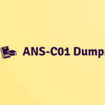DumpsBoss ANS-C01 Dumps: The Fast-Track Resource for IT Exam Excellence