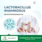 Lợi khuẩn Lactobacillus Rhamnosus hỗ trợ bảo vệ hệ tiêu hóa