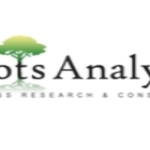 Digital Transformation Market Size, Share, Emerging Factors, Trends, Segmentation and Forecast to 2035