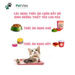 Thức ăn cho mèo dưới 1 tuổi - Hướng dẫn chi tiết để chăm sóc thú cưng của bạn