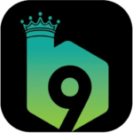 B9 Game: The Ultimate Online Gaming Platform in Pakistan